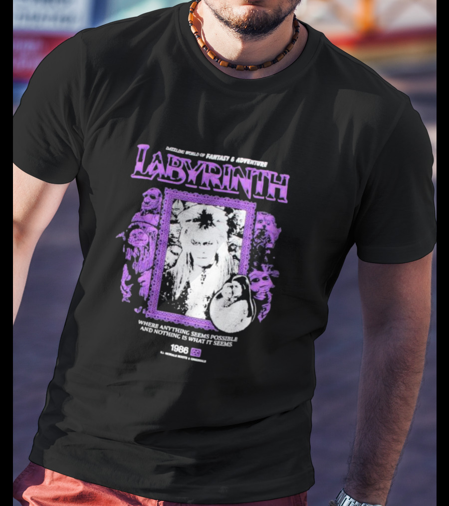Dazzling World Of Fantasy And Adventure Labyrinth 1986 Where Anything Seems Possible And Nothing Is What It Seems T-Shirt