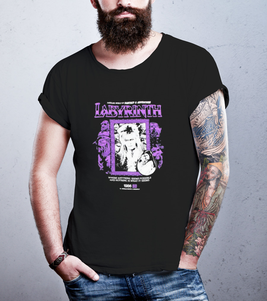 Dazzling World Of Fantasy And Adventure Labyrinth 1986 Where Anything Seems Possible And Nothing Is What It Seems T-Shirt