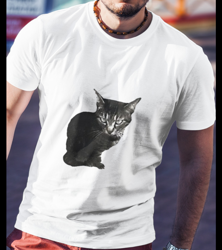 Smileymaya15 How Long Have I Been Here Kitten Cat Black Gray Tabby T-Shirt