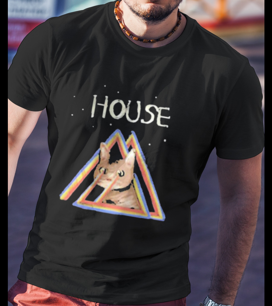 House Rainbow Triangle Cat T-Shirt