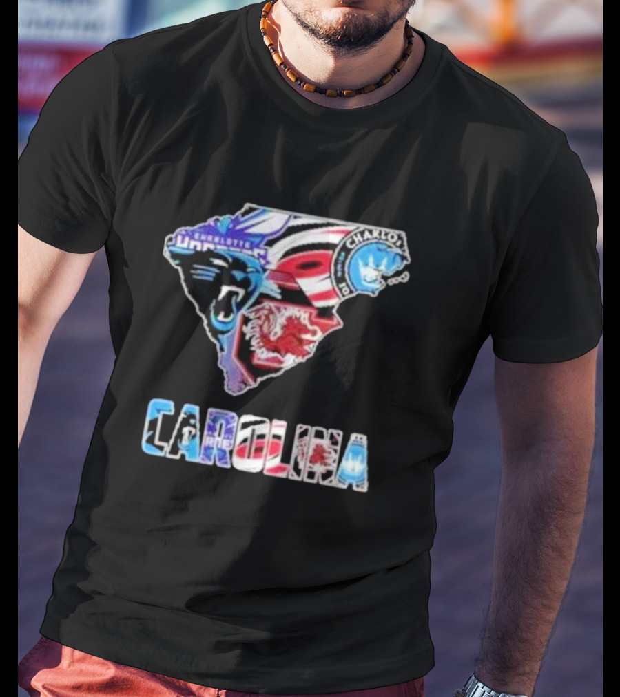 Carolina Panthers South Carolina Gamecocks Charlotte FC Hurricanes Carolina T-Shirt