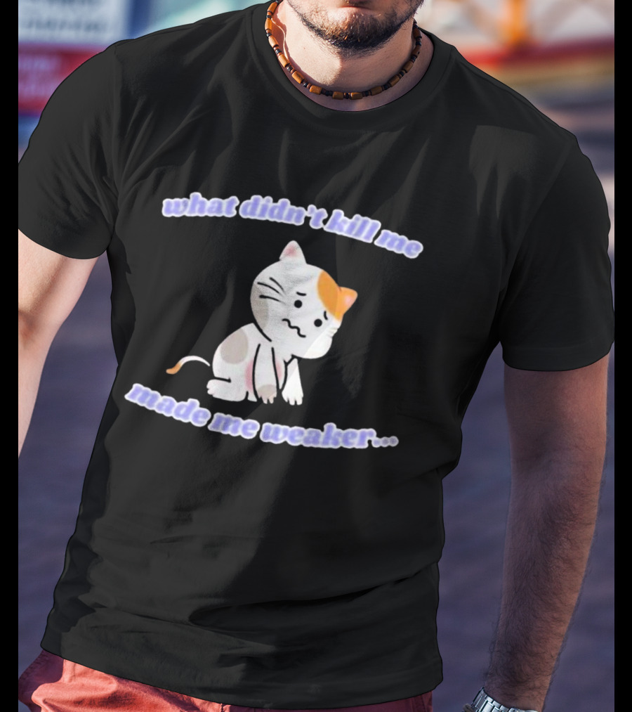 What Didn’t Kill Me Made Me Weaker Sad Cat T-Shirt
