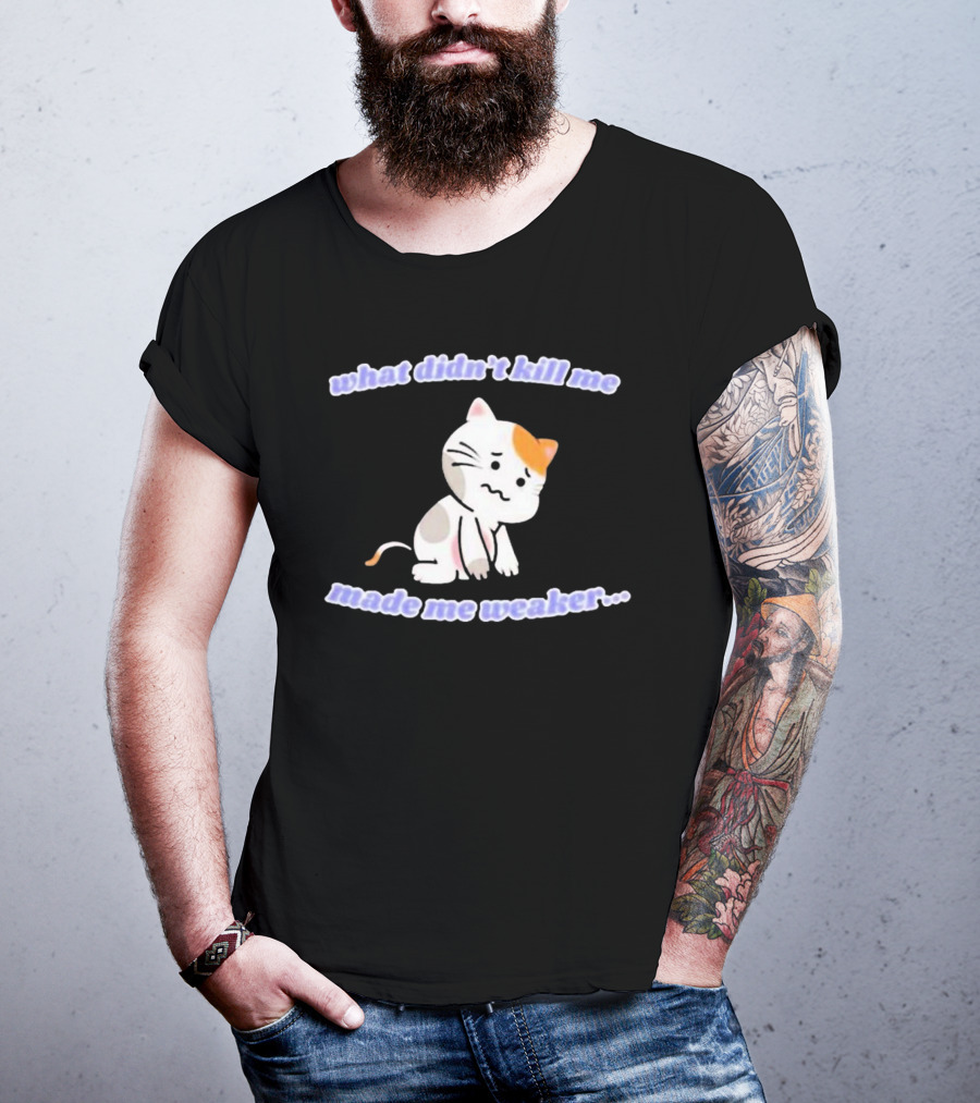 What Didn’t Kill Me Made Me Weaker Sad Cat T-Shirt