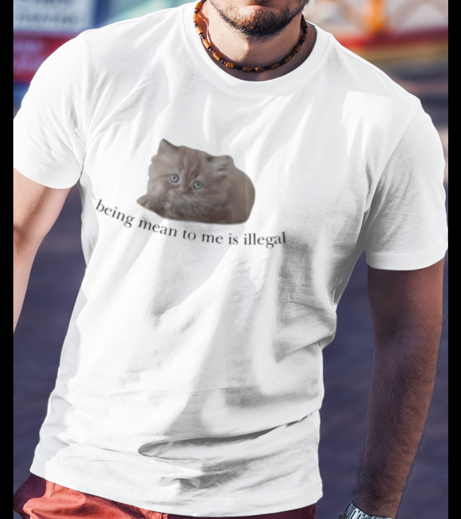 Being Mean To Me Is Illegal Cute Orange Cat T-Shirt