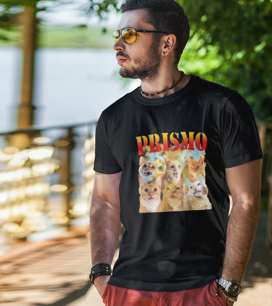 Prismo Cats Colorful Expressions Feline Montage T-Shirt