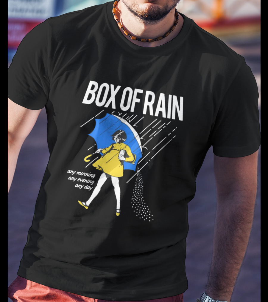 Box Of Rain Any Morning Any Evening Any Day T-Shirt