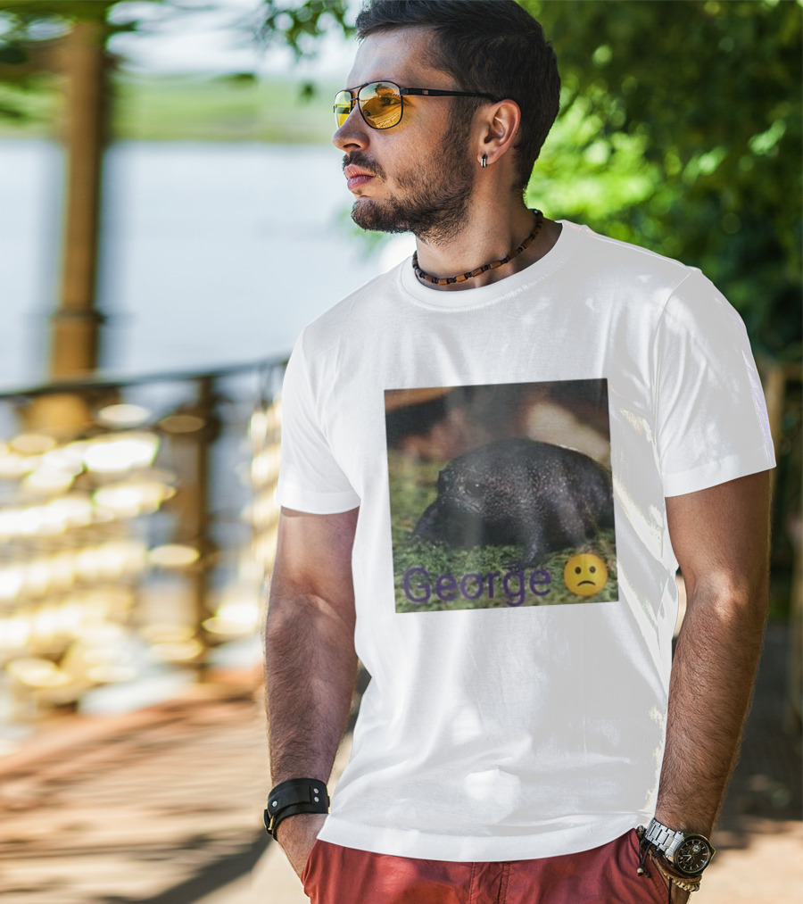George Sad Frog Meme Inspired Image T-Shirt
