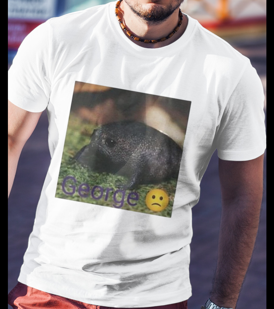 George Sad Frog Meme Inspired Image T-Shirt