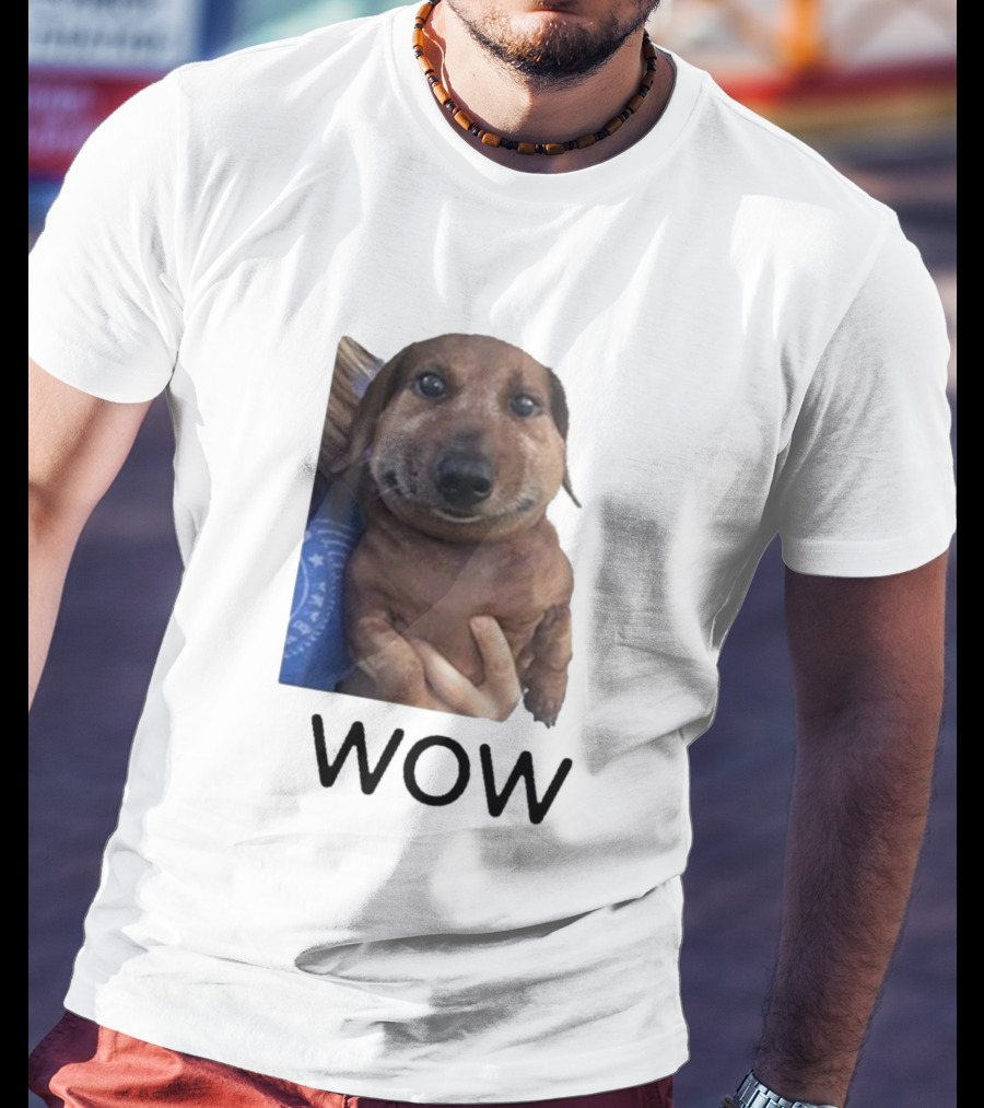 Fallenchungus Wow Dog Meme With Funny Expression T-Shirt