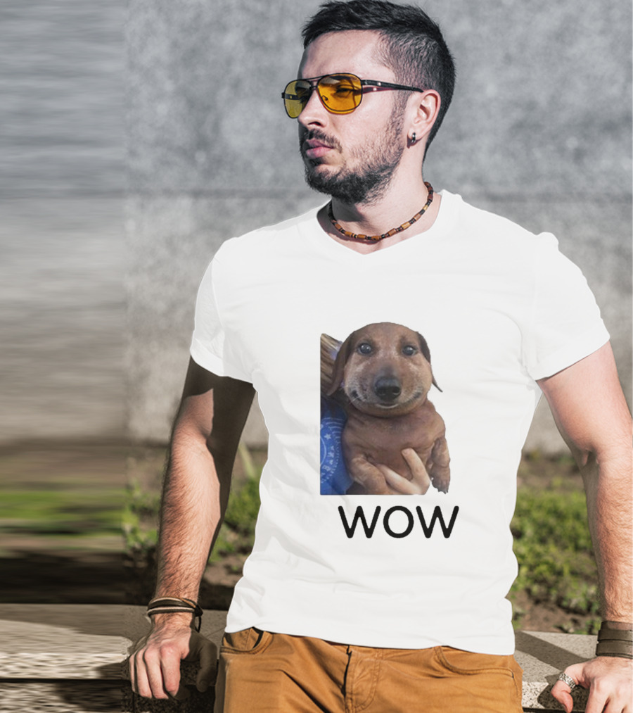 Fallenchungus Wow Dog Meme With Funny Expression T-Shirt