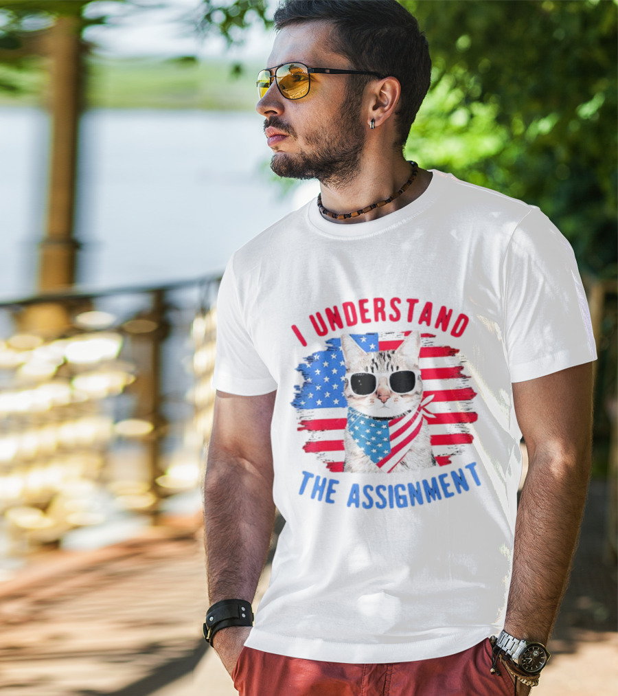 I Understand The Assignment Cat With American Flag Sunglasses And Scarf T-Shirt