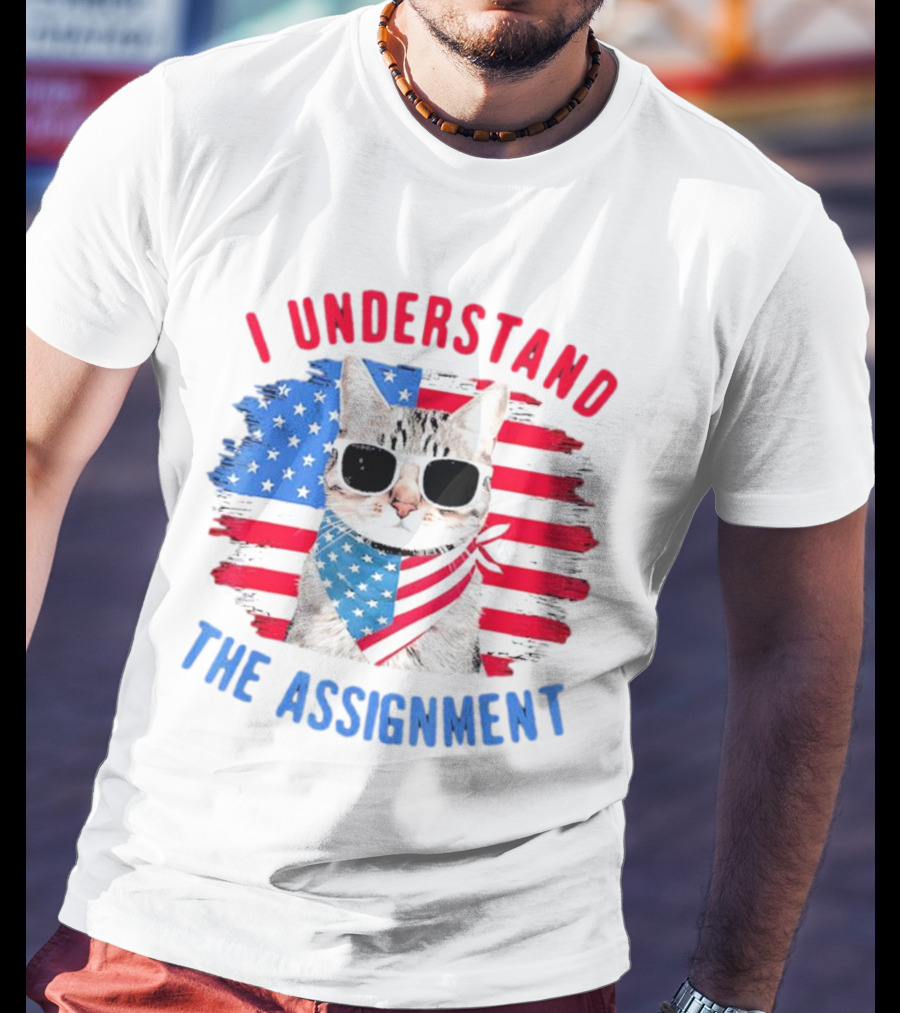 I Understand The Assignment Cat With American Flag Sunglasses And Scarf T-Shirt