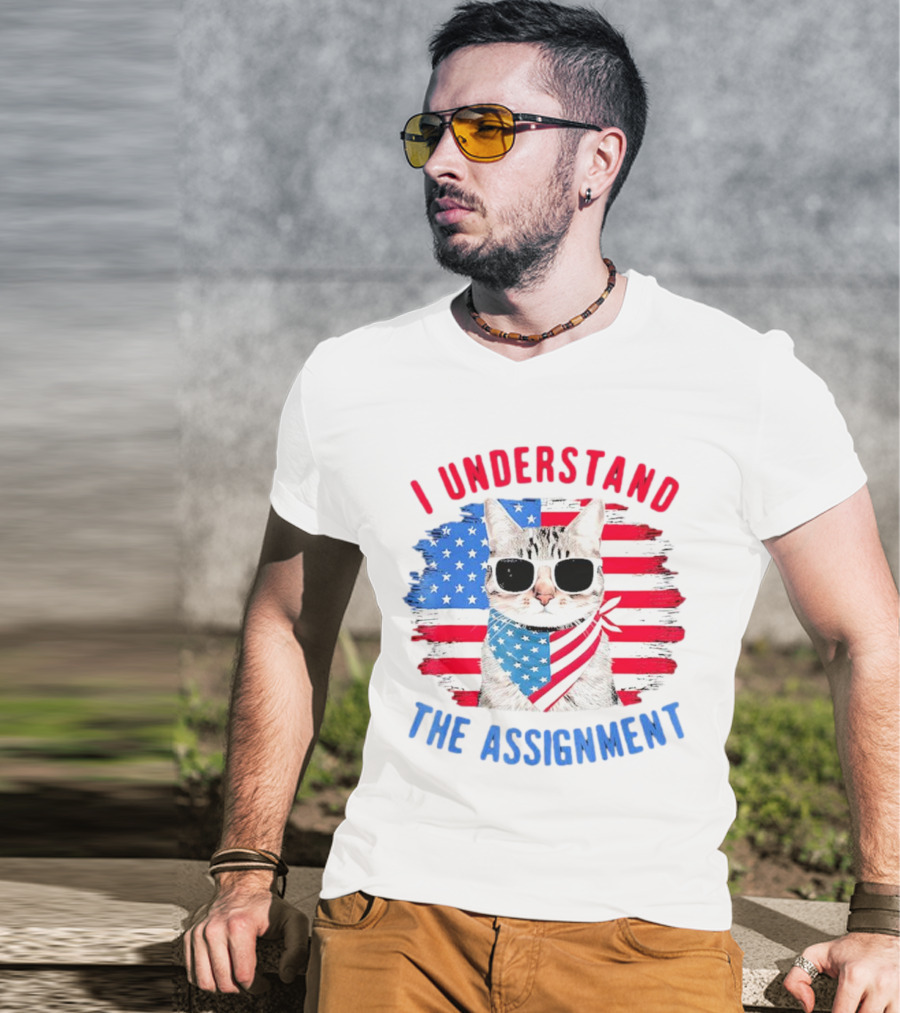 I Understand The Assignment Cat With American Flag Sunglasses And Scarf T-Shirt