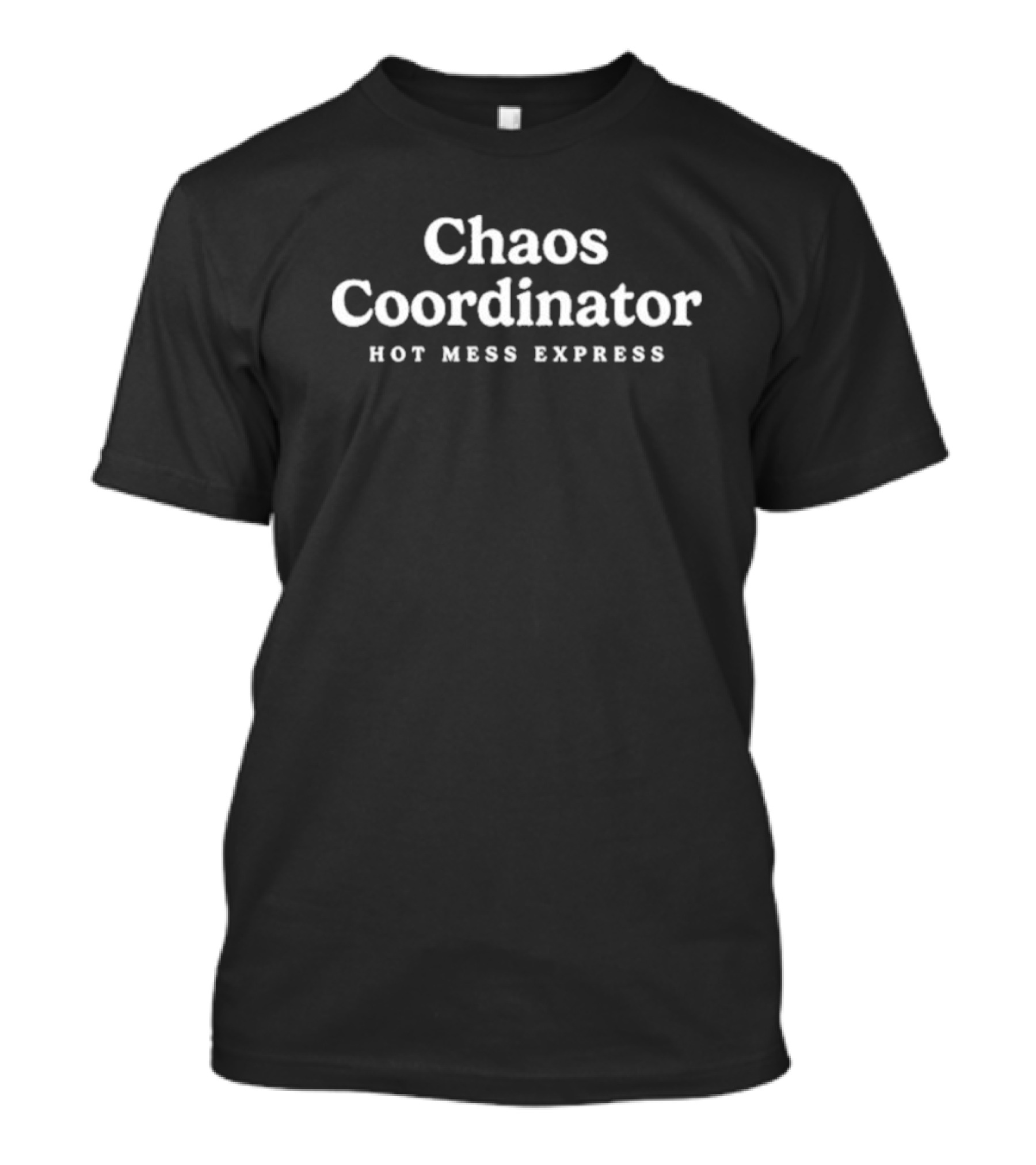 Chaos Coordinator Hot Mess Express Fun T-Shirt