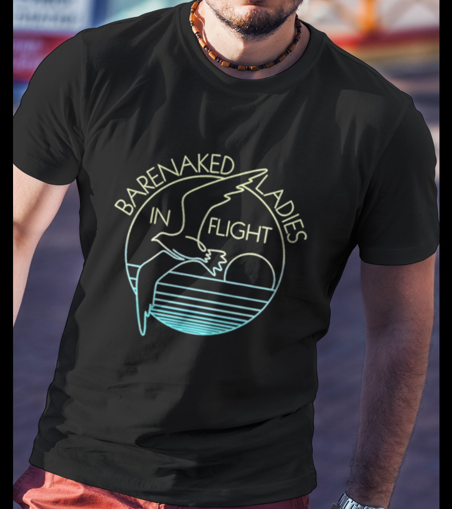 Barenaked Ladies In Flight Seagull Sunset Circle T-Shirt