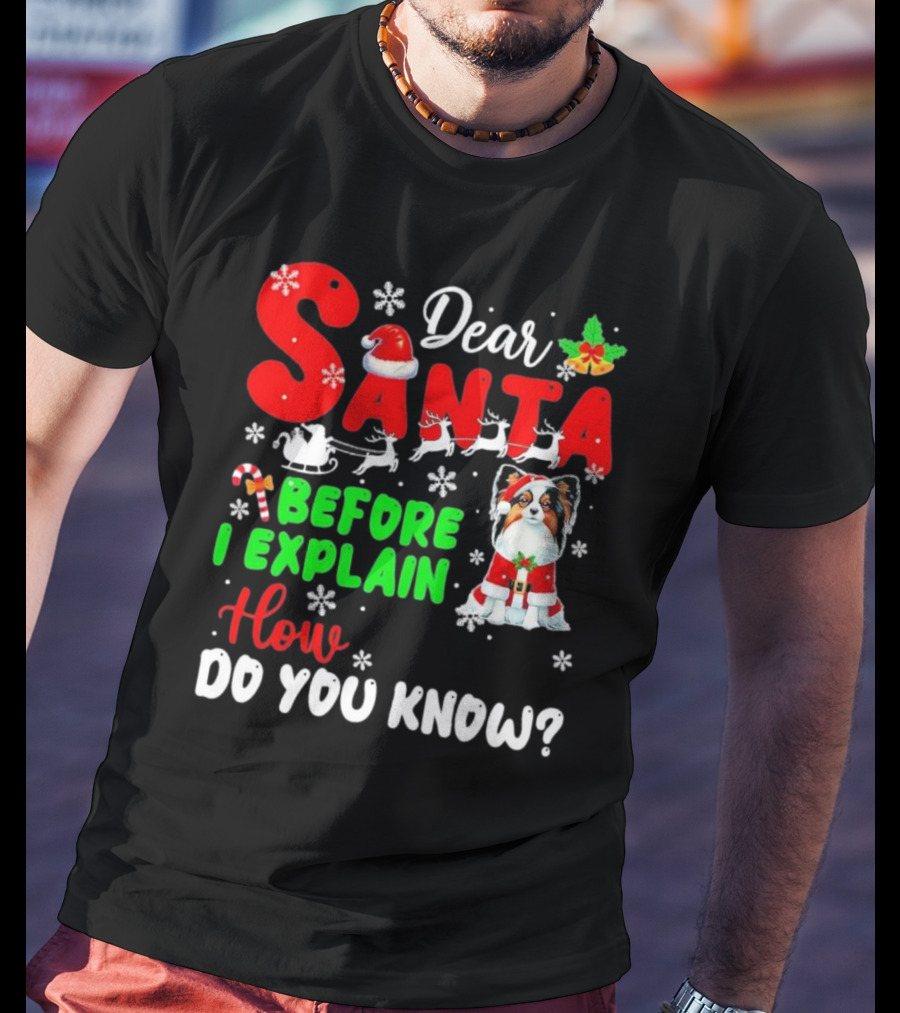 Dear Santa Before I Explain How Do You Know Santa Hat Reindeer Dog Xmas T-Shirt