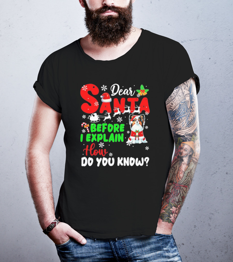Dear Santa Before I Explain How Do You Know Santa Hat Reindeer Dog Xmas T-Shirt