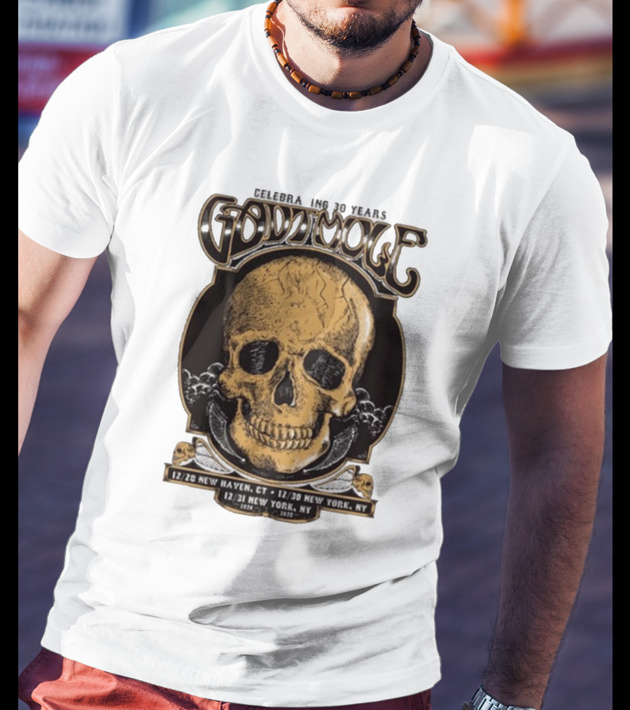 Gov’t Mule Celebrating 30 Years NYE Shows Dec 28 New Haven CT And Dec 30-31 New York NY T-Shirt