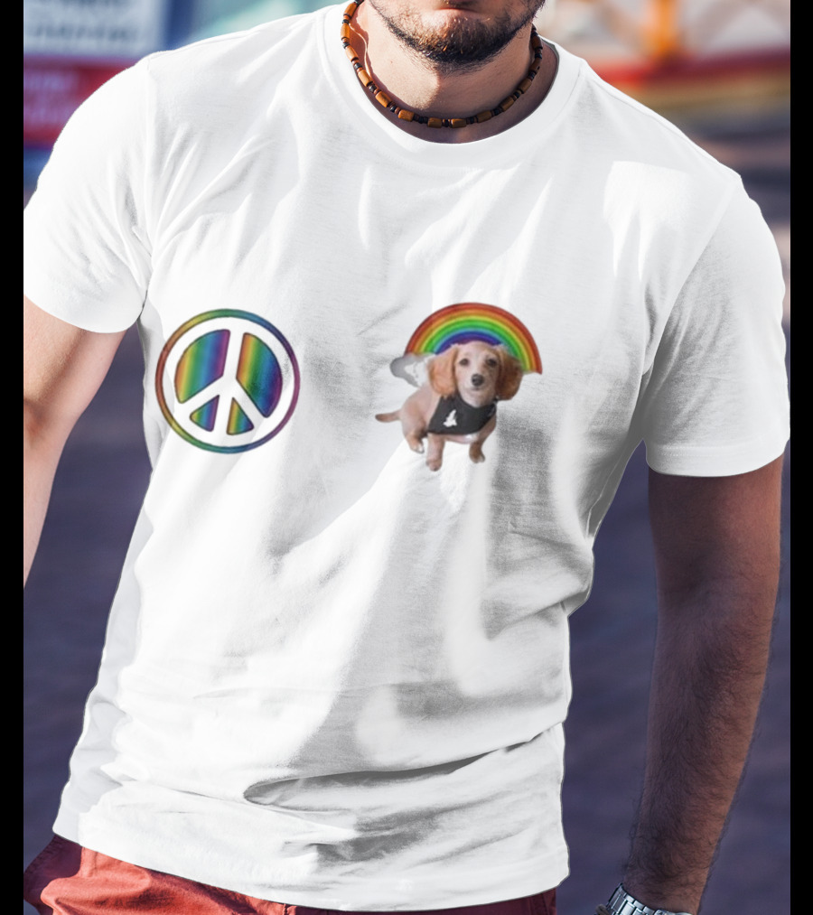 Illenium The Princess Peanut Rainbow Peace 2025 T-Shirt