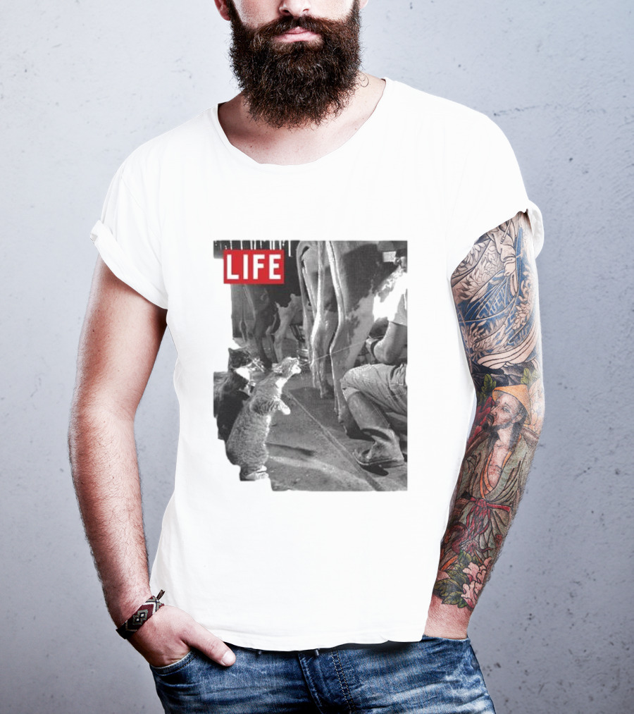 Life Magazine Cats Enjoying Fresh Milk T-Shirt