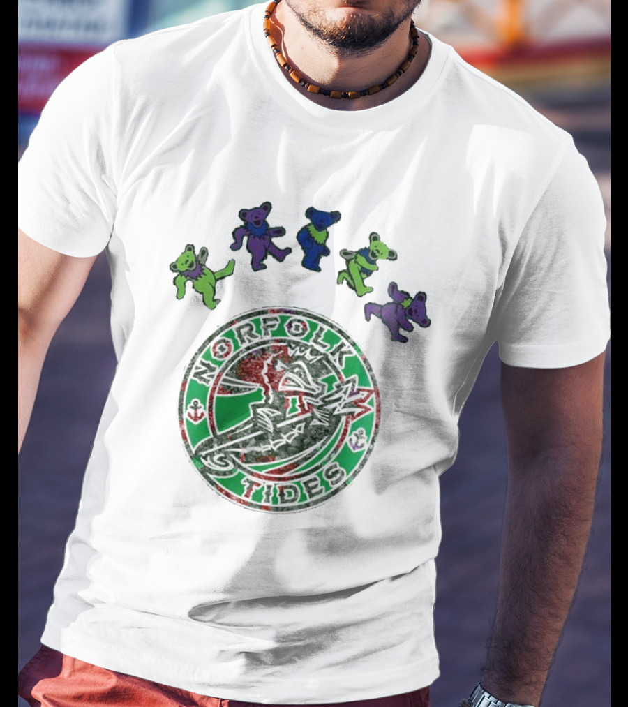 Norfolk Tides Grateful Dead Night 2025 Dancing Bears Baseball T-Shirt