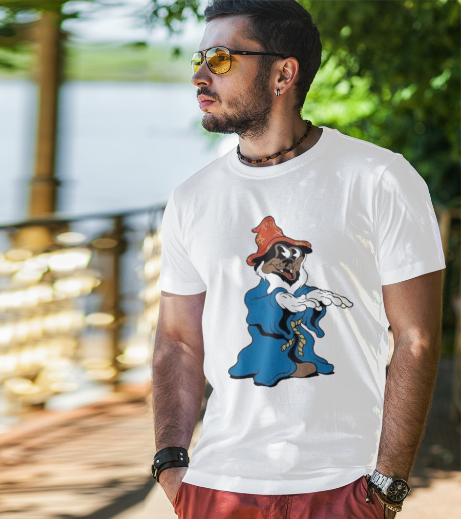 The Dudes It’s All Wavy Wizard Dog In Blue Robe With Orange Star Hat T-Shirt