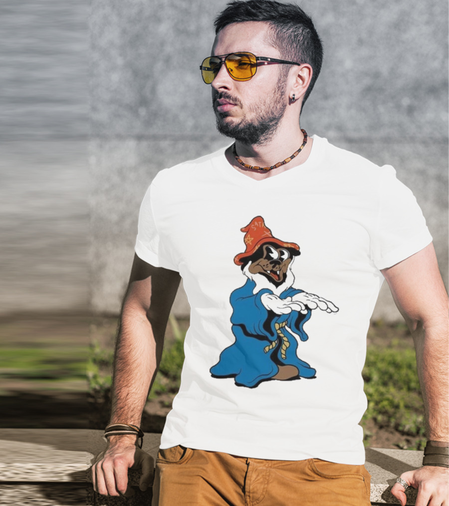 The Dudes It’s All Wavy Wizard Dog In Blue Robe With Orange Star Hat T-Shirt