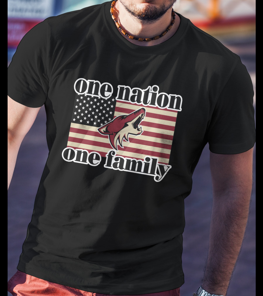 One Nation One Family Arizona Coyotes American Flag T-Shirt