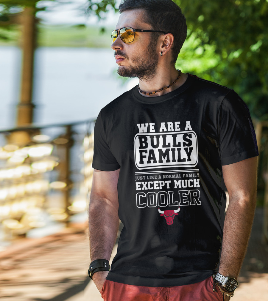 We Are A Bulls Family Just Like A Normal Family Except Much Cooler T-Shirt