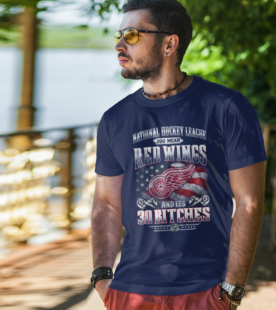 National Hockey League You Mean Red Wings And Its 30 Bitches T-Shirt