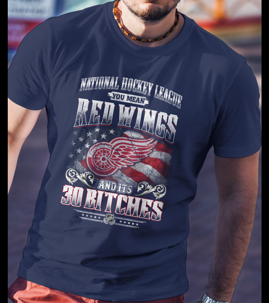 National Hockey League You Mean Red Wings And Its 30 Bitches T-Shirt