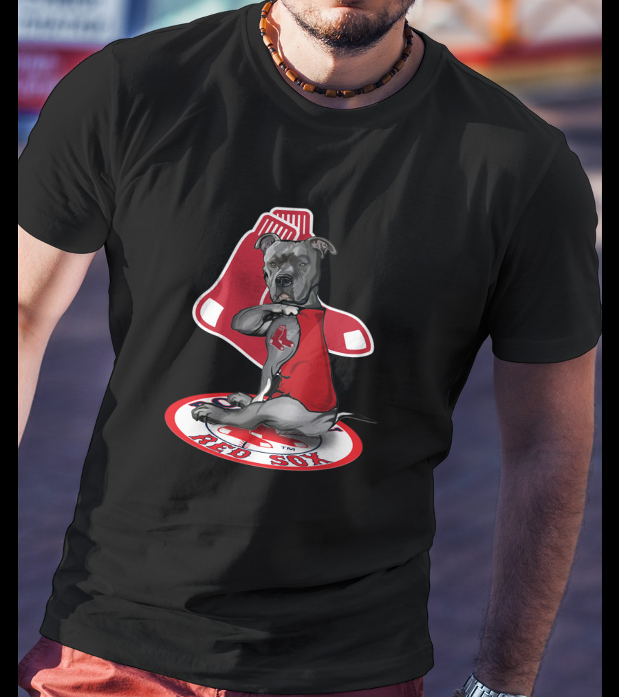 Boston Red Sox Dog Illustration With Team T-Shirt