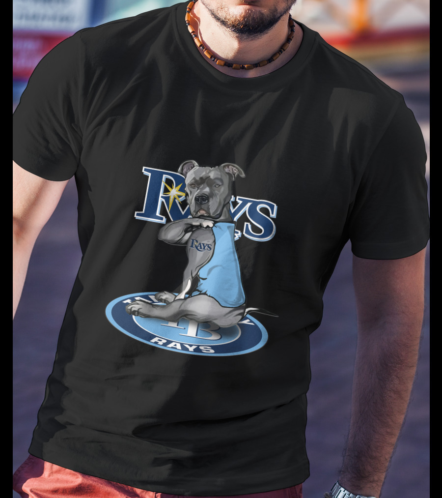 Rays Dog With Tampa Bay Rays Logo And 27-Tampa Bay Rays Circle T-Shirt
