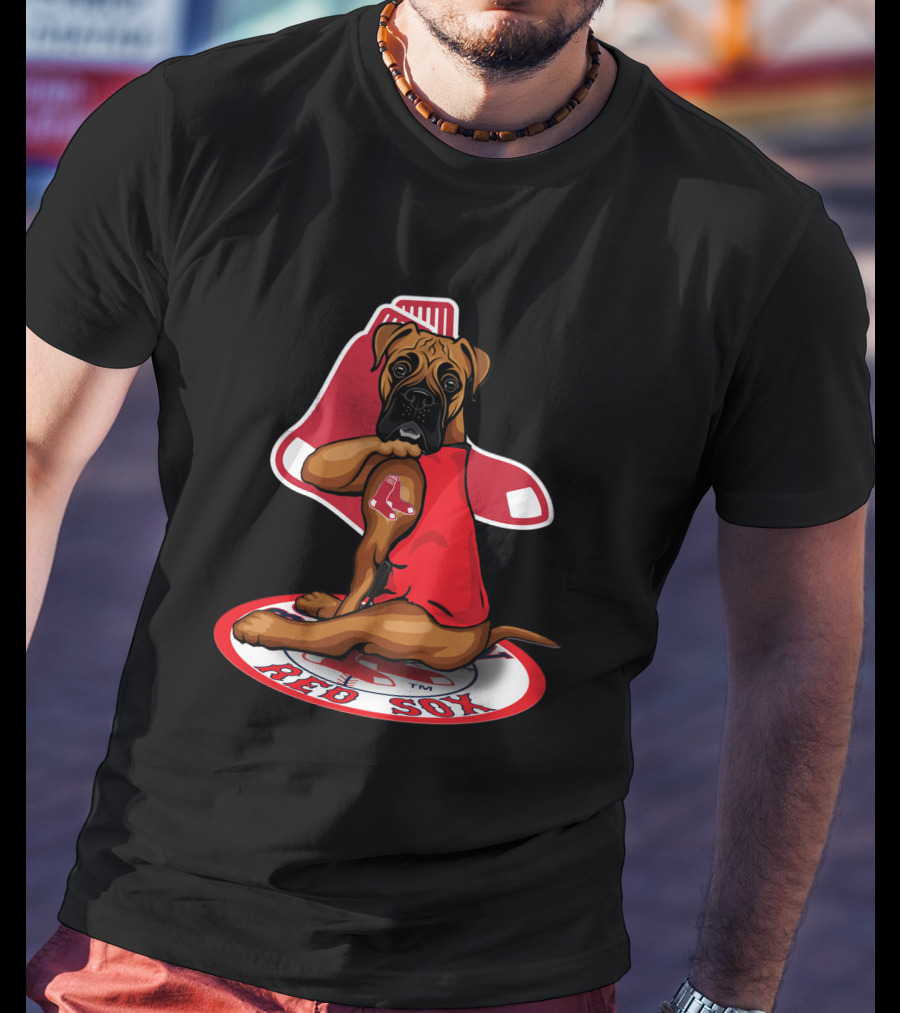 Boston Red Sox Dog Sitting On Iconic Sock T-Shirt