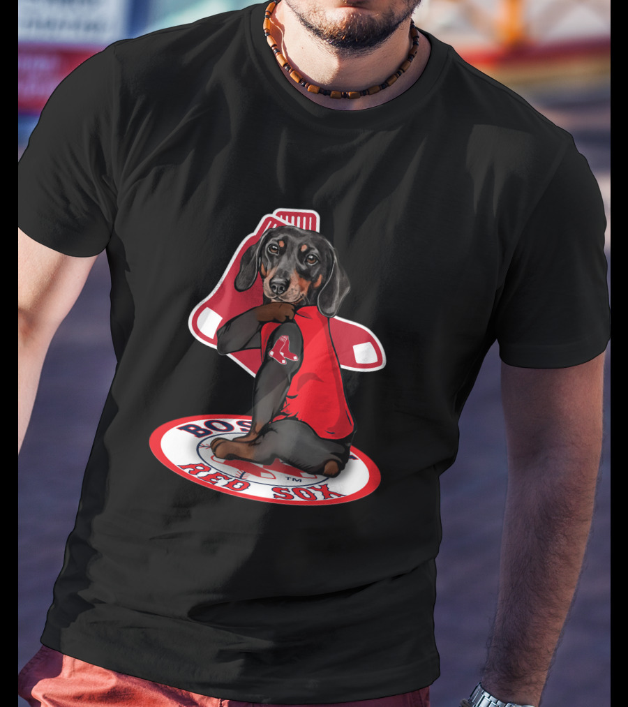 Boston Red Sox Dachshund Sitting On Logo Sox Shirt T-Shirt