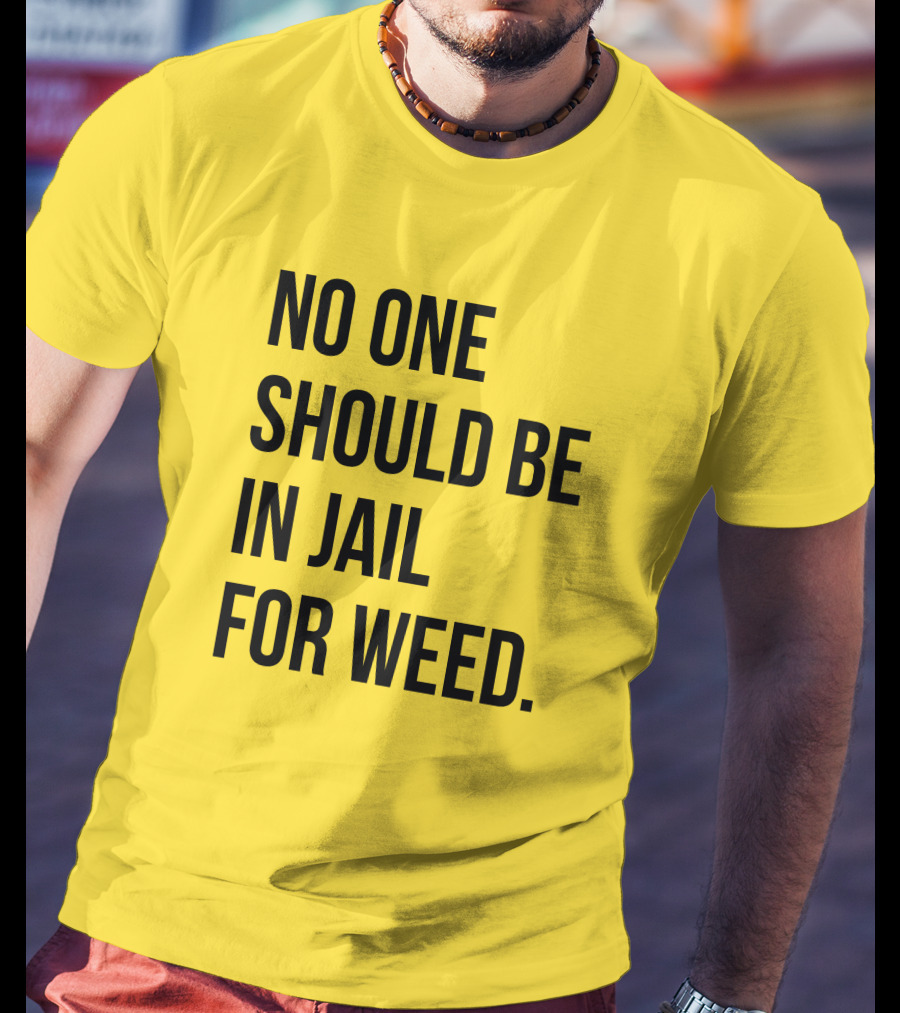 No One Should Be In Jail For Weed Gisele Barreto Fetterman We Go High Shop T-Shirt