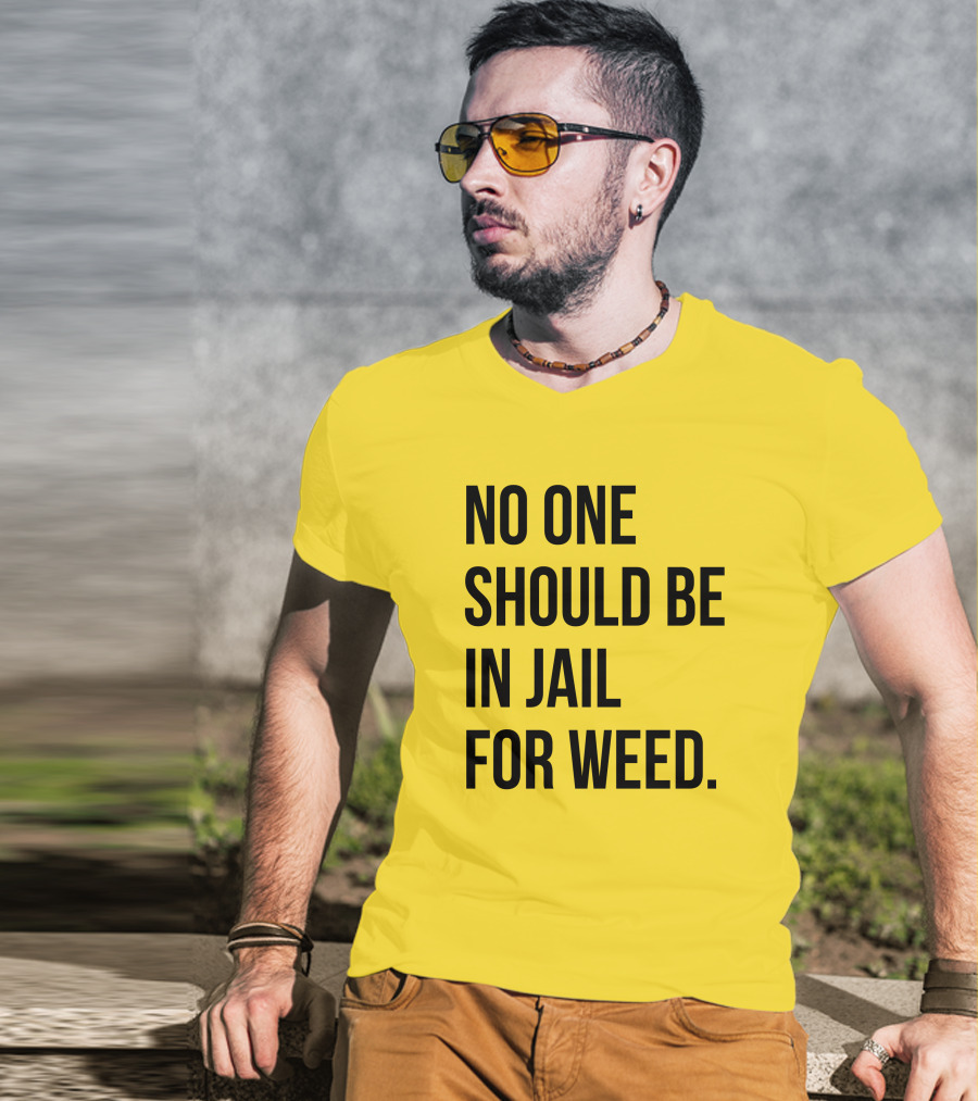 No One Should Be In Jail For Weed Gisele Barreto Fetterman We Go High Shop T-Shirt