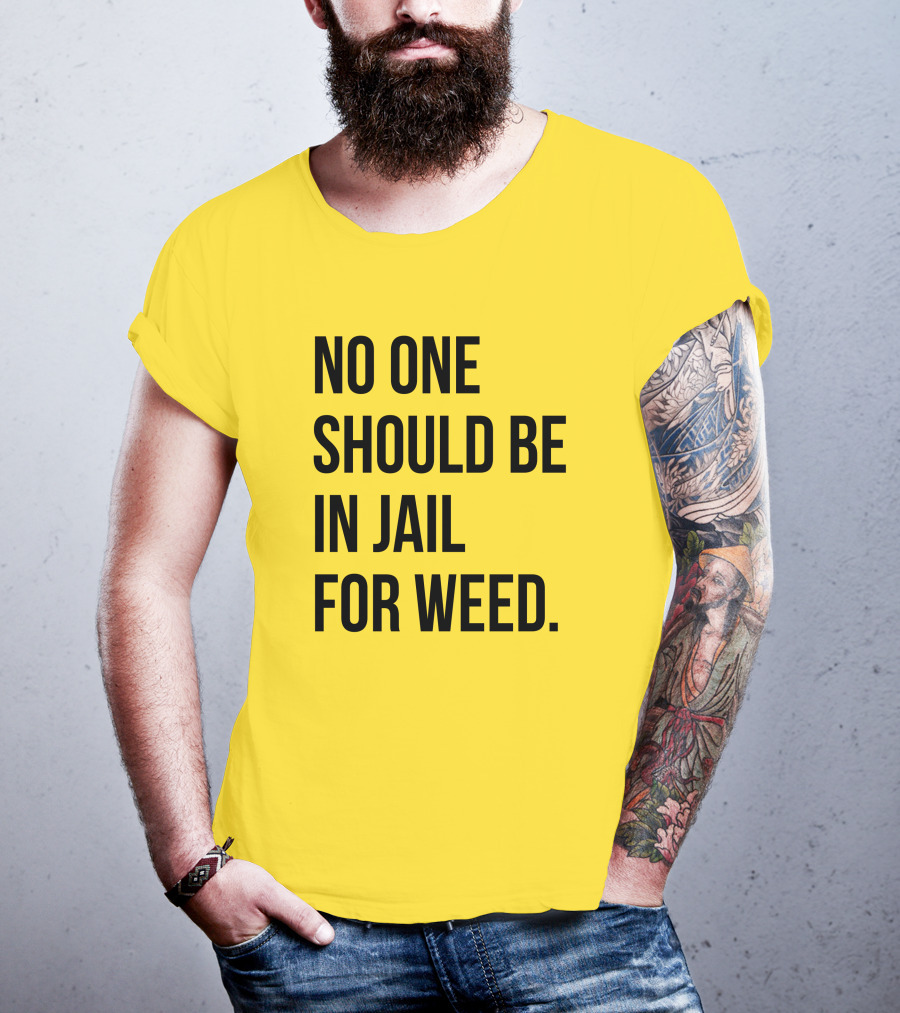 No One Should Be In Jail For Weed Gisele Barreto Fetterman We Go High Shop T-Shirt