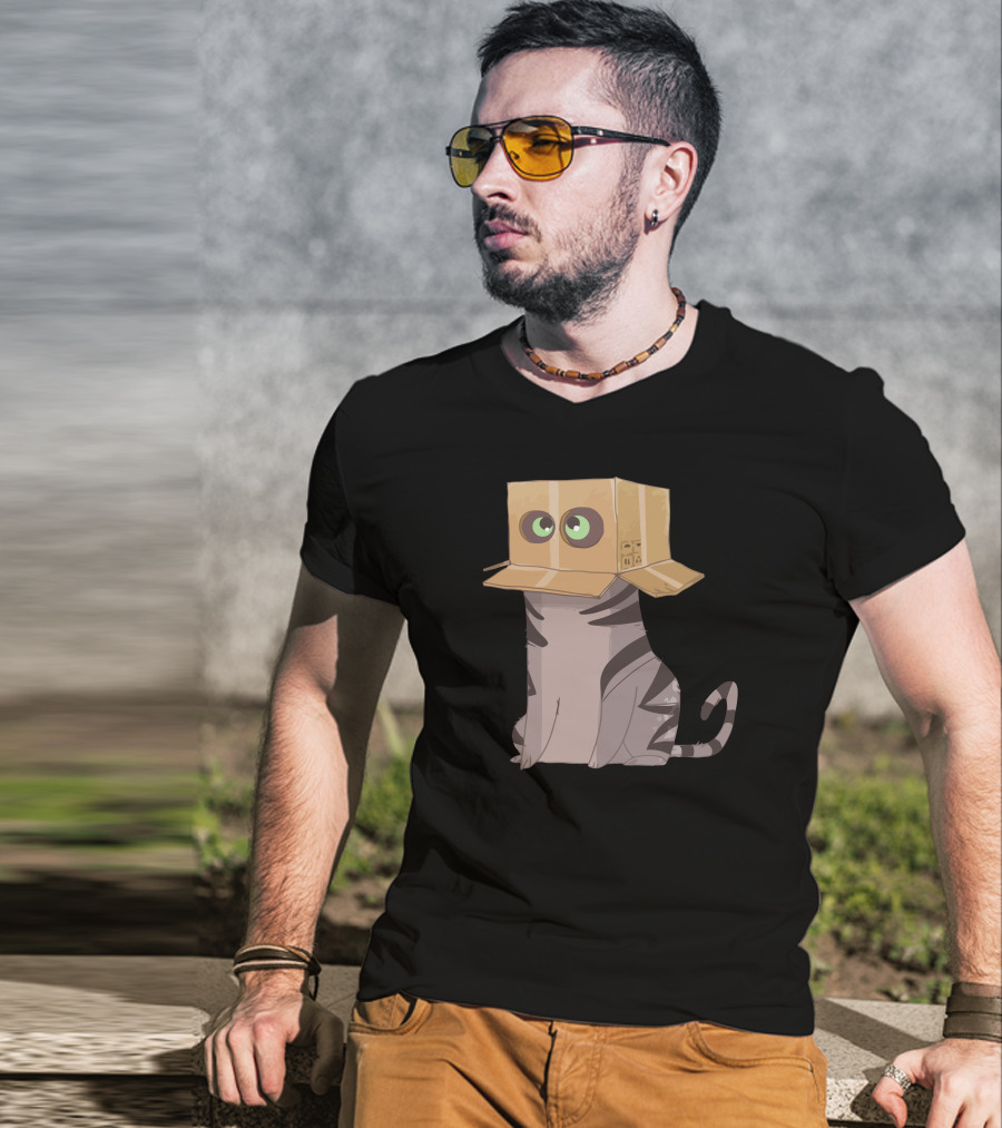 Cat In The Box With Big Eyes Wearing Cardboard Hat T-Shirt