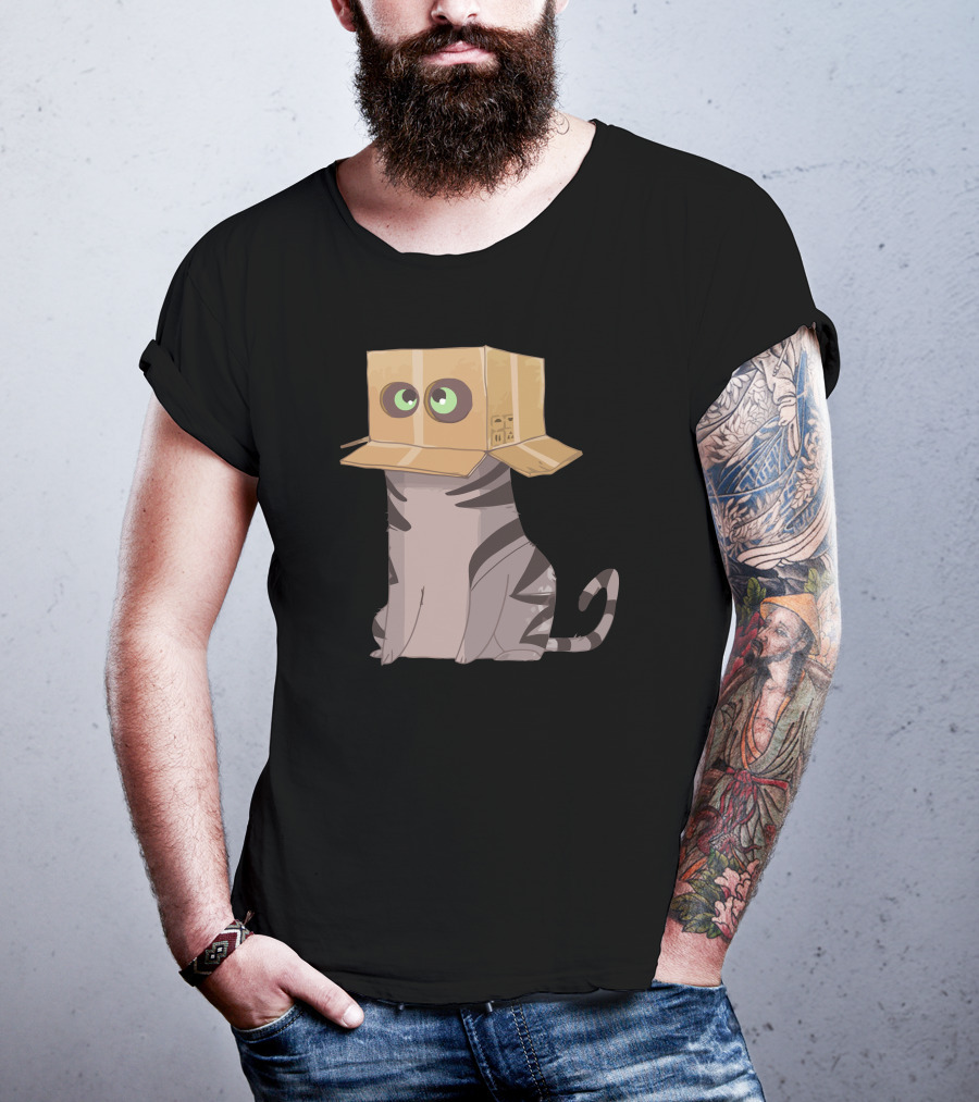 Cat In The Box With Big Eyes Wearing Cardboard Hat T-Shirt