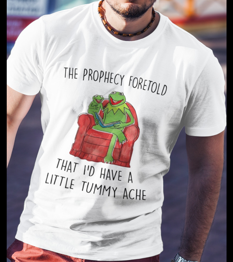 The Prophecy Foretold That I'd Have A Little Tummy Ache - Frog Reading On Red Armchair T-Shirt
