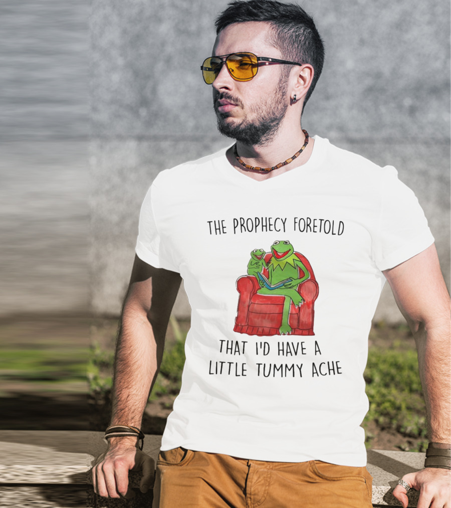The Prophecy Foretold That I'd Have A Little Tummy Ache - Frog Reading On Red Armchair T-Shirt