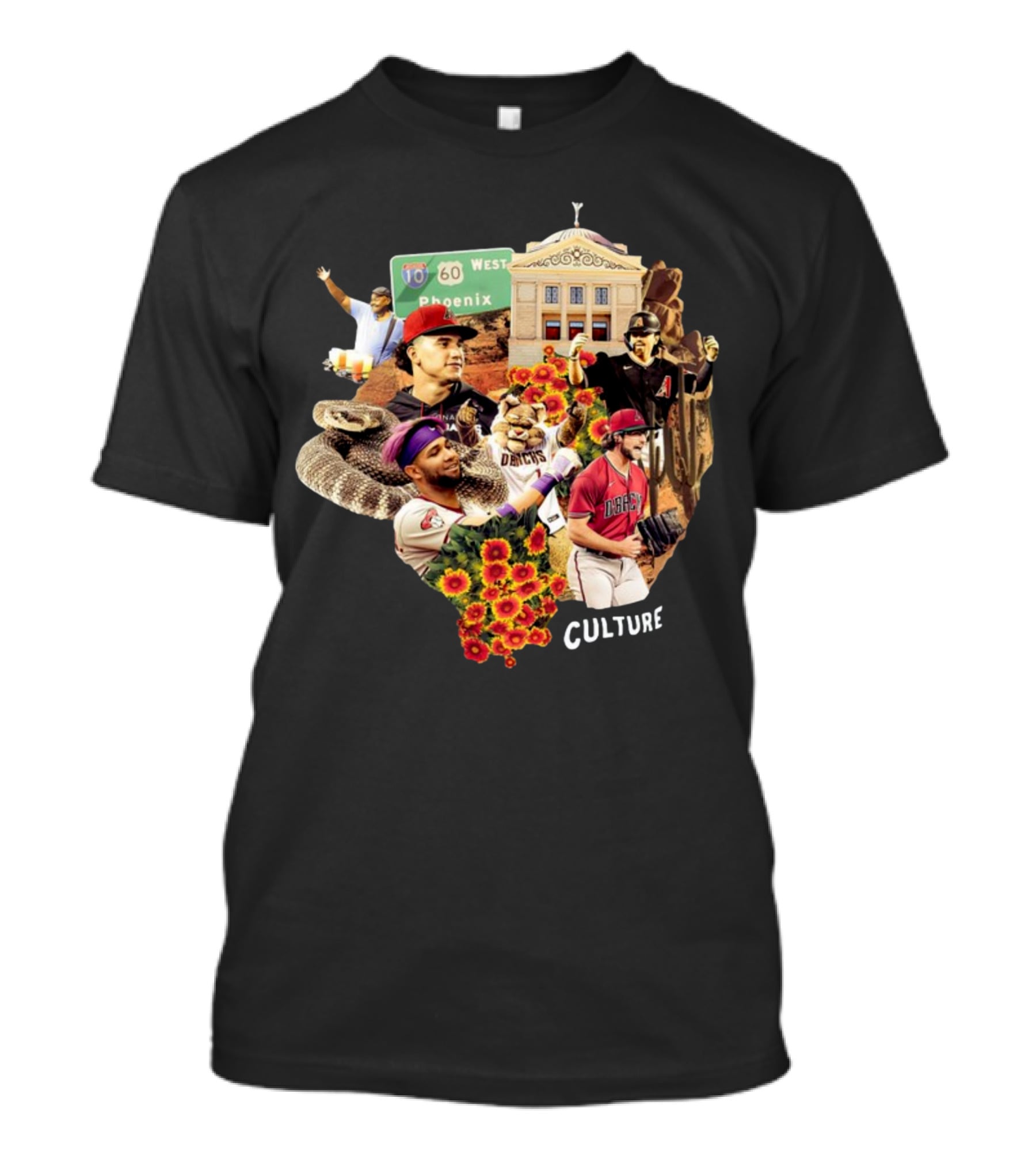 Arizona Diamondbacks Serpiente Culture Phoenix Baseball Landmarks Icons T-Shirt
