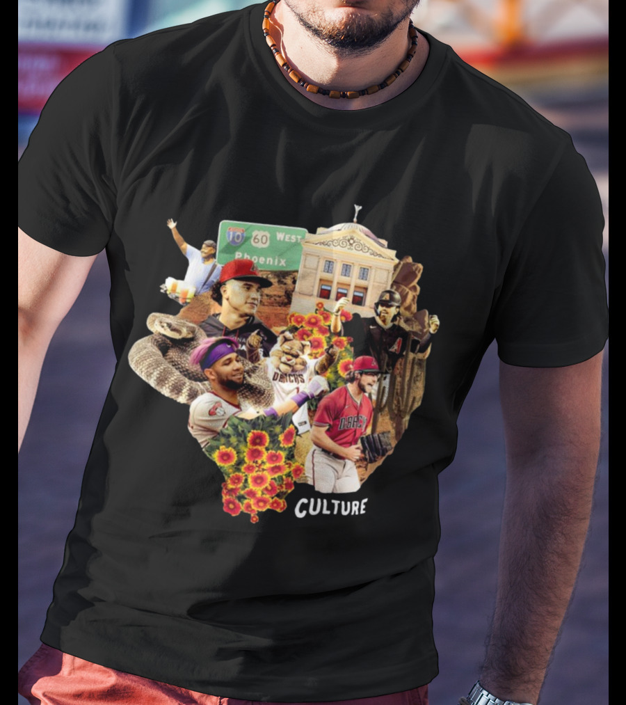 Arizona Diamondbacks Serpiente Culture Phoenix Baseball Landmarks Icons T-Shirt