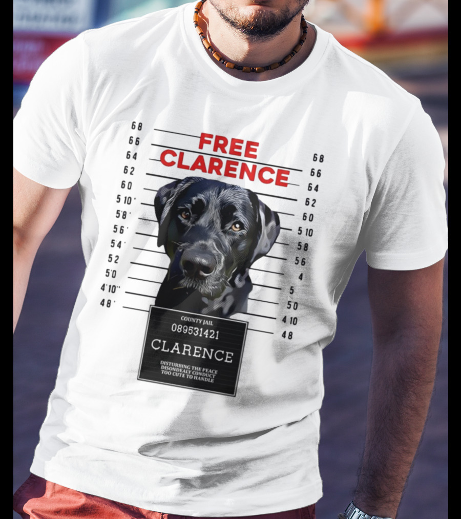Free Clarence County Jail Disturbing The Peace Disorderly Conduct Too Cute To Handle T-Shirt
