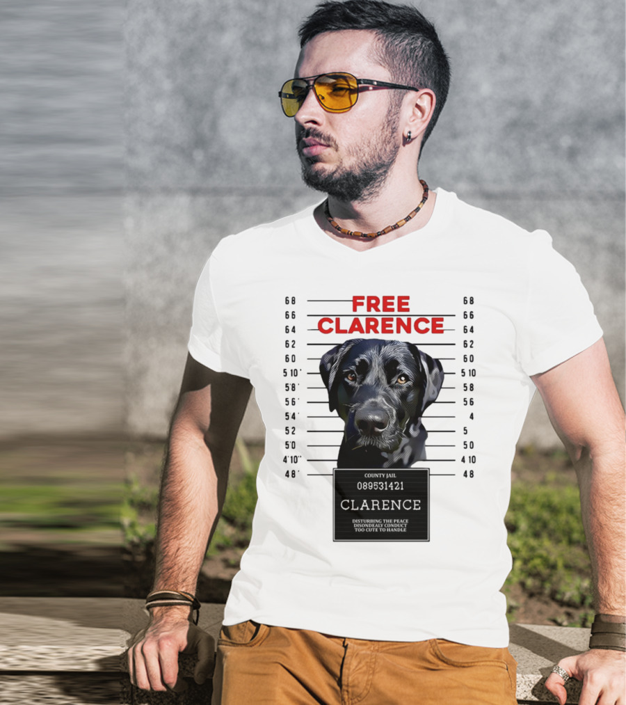 Free Clarence County Jail Disturbing The Peace Disorderly Conduct Too Cute To Handle T-Shirt