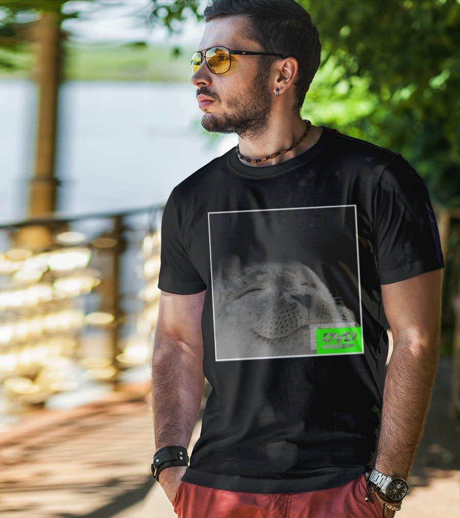 Bouncing DVD Hits Corner Idle Screen Meme Relaxed Seal T-Shirt