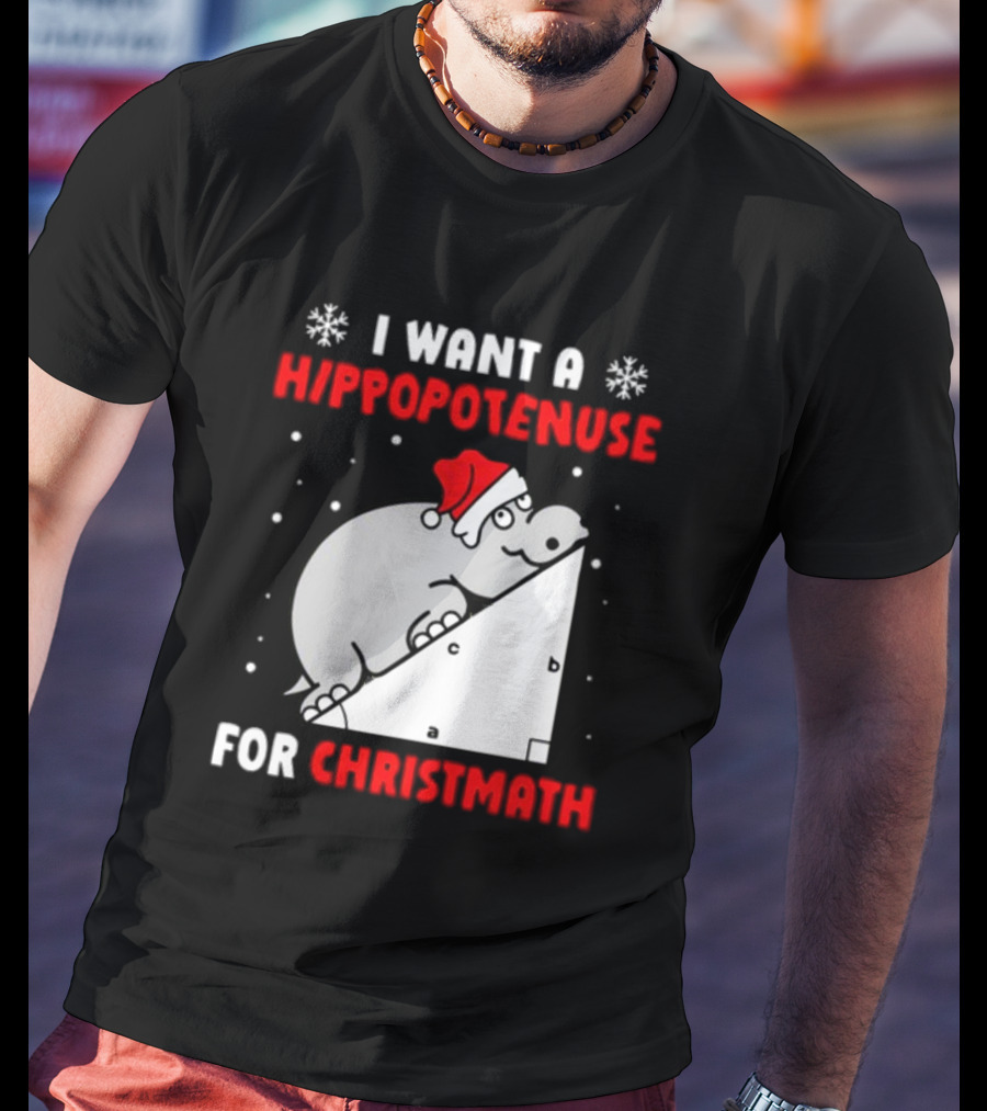 I Want A Hippopotenuse For Christmath Santa Hippo Geometry T-Shirt