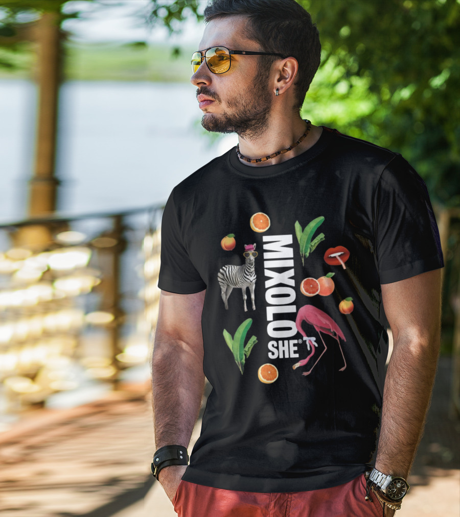 Mixoloshe Zebra Flamingo Lips With Fruits And Leaves T-Shirt
