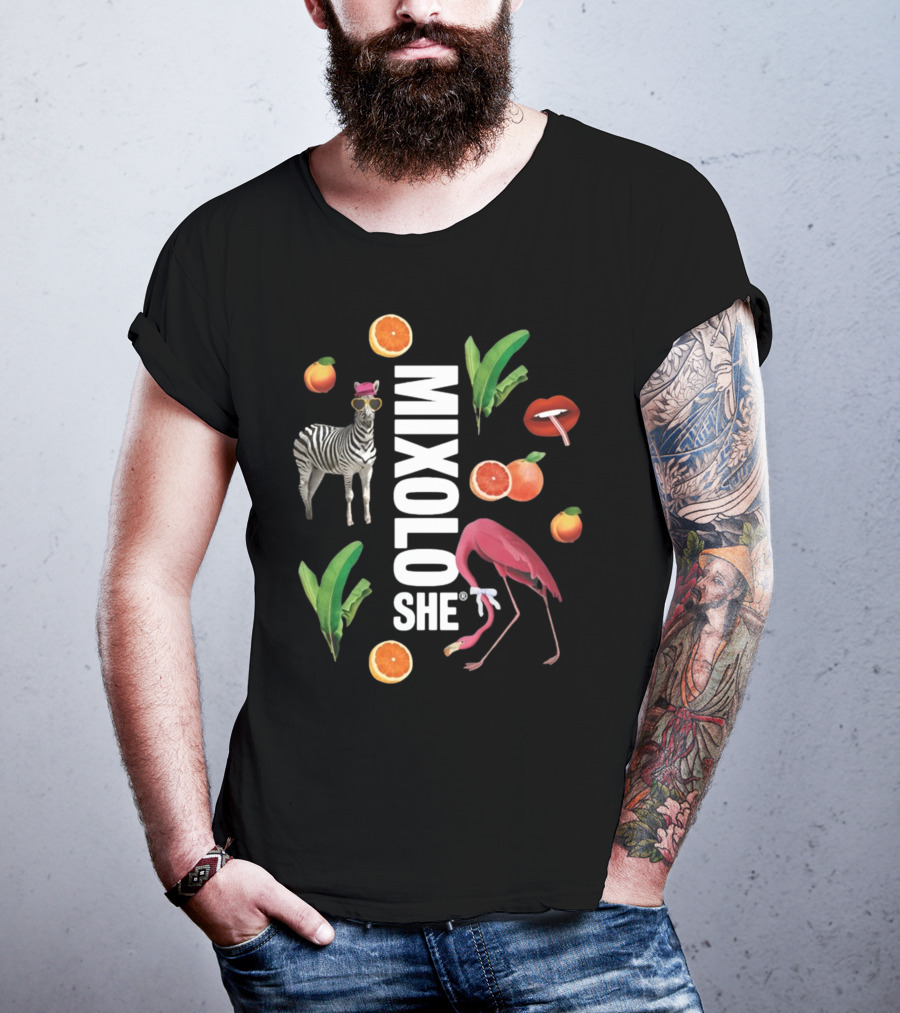 Mixoloshe Zebra Flamingo Lips With Fruits And Leaves T-Shirt